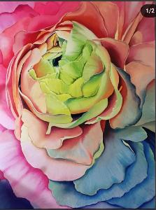 d991f5658848302e3c483caa550cae05