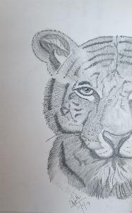 5d8c8d162a4bb97d08f3c0ce7aaaa65f