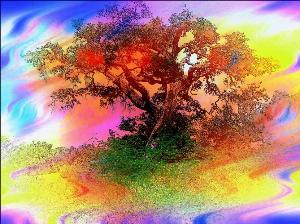 6b8a0c9aa2994be8285f7d35611718c0