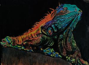 2188c18923ff80ec79929717fc02a0fb