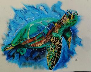 3a1913b9c8808555c45f6fb62fe8f2fb