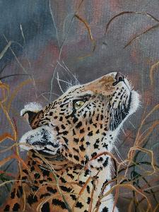 100cb22f8a8110ac915ac42f1c554672