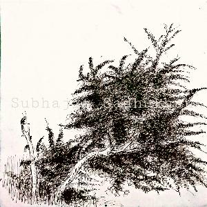 1716eb93e375a1786e6a1a42aafb8b66