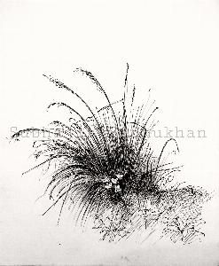 ad1230e14675a08ebf0cbf7574295004