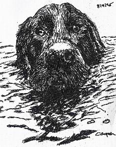 49c07c3e82927c2e7cc5e5cf7906cca2