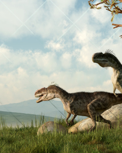 a77f3616cdcd6cb1edd035039c88f77e