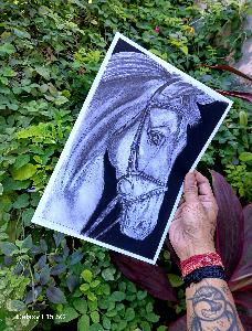 e3cee84029458279979c1f33939112a2