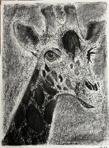 50bdc440b9f1ddcbc917fa2fe8b41f53