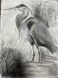 369a57995144d9d98902f0a8e3b0303a