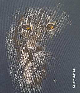 c700e48f2bd49d73c3cd6f11df23b6b5