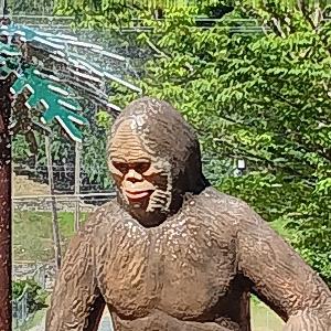 95c2ee5c577ee702a19b452e1f03b1f1-dfc69adb9e2e8b57bb6c26bde5b51ddf