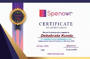 2020 Independence Day Painting Contest