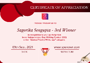 Independence Day Writing Contest